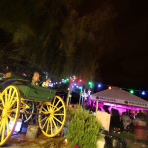 Lumières guinguette au Biergarten